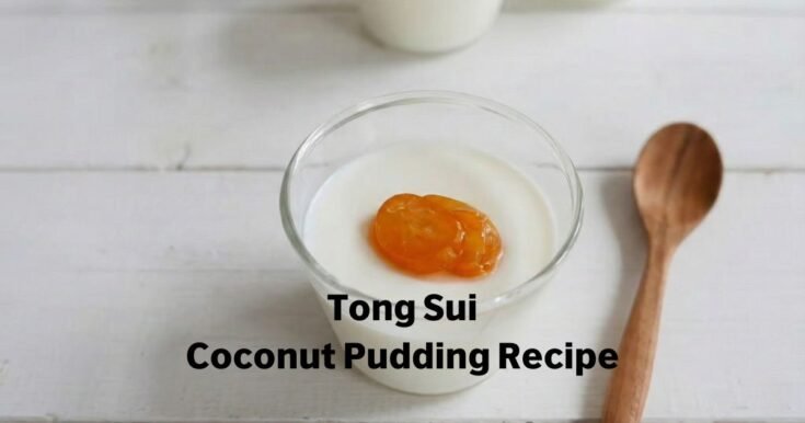 Tong Sui Coconut Pudding Recipe
